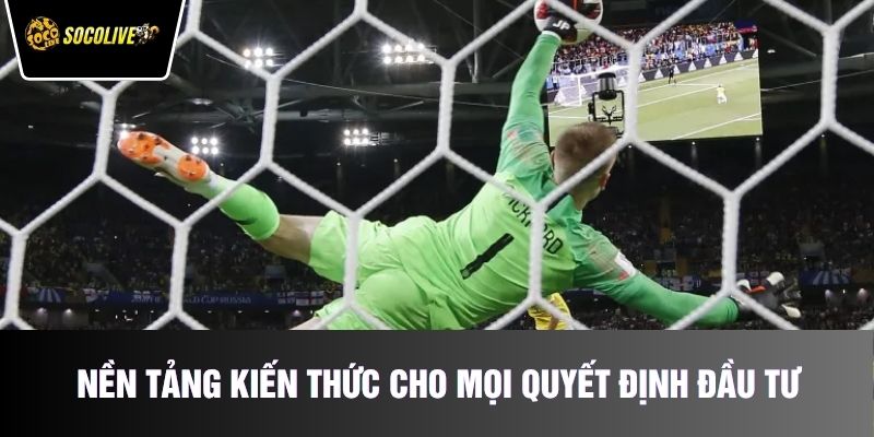 Nền tảng kiến thức cho mọi quyết định đầu tư thể thao
