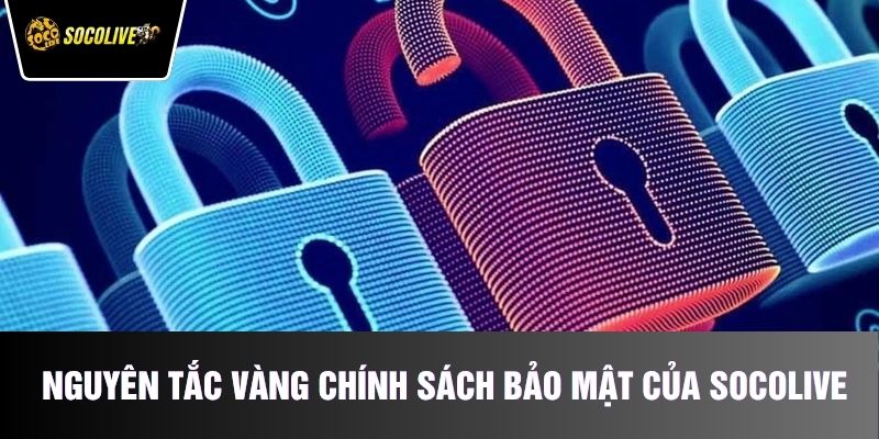 Nguyên tắc vàng trong chính sách bảo mật của Socolive